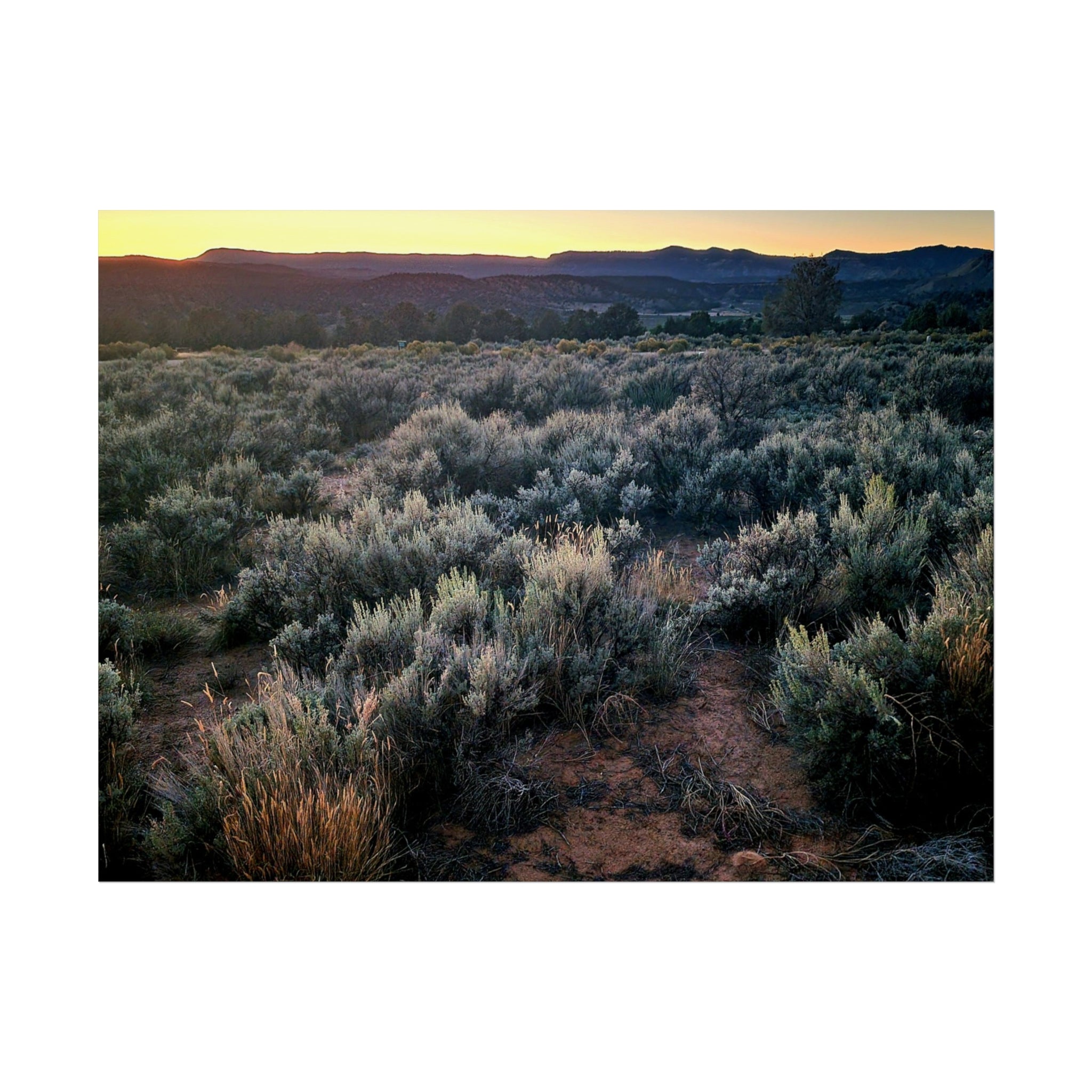 Sagebrush Sunset Fine Art Poster