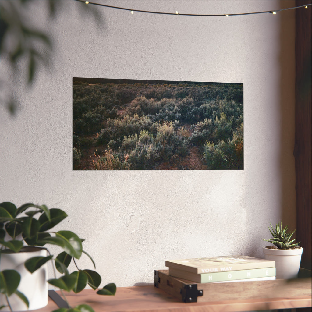 Sagebrush Sunset Fine Art Poster