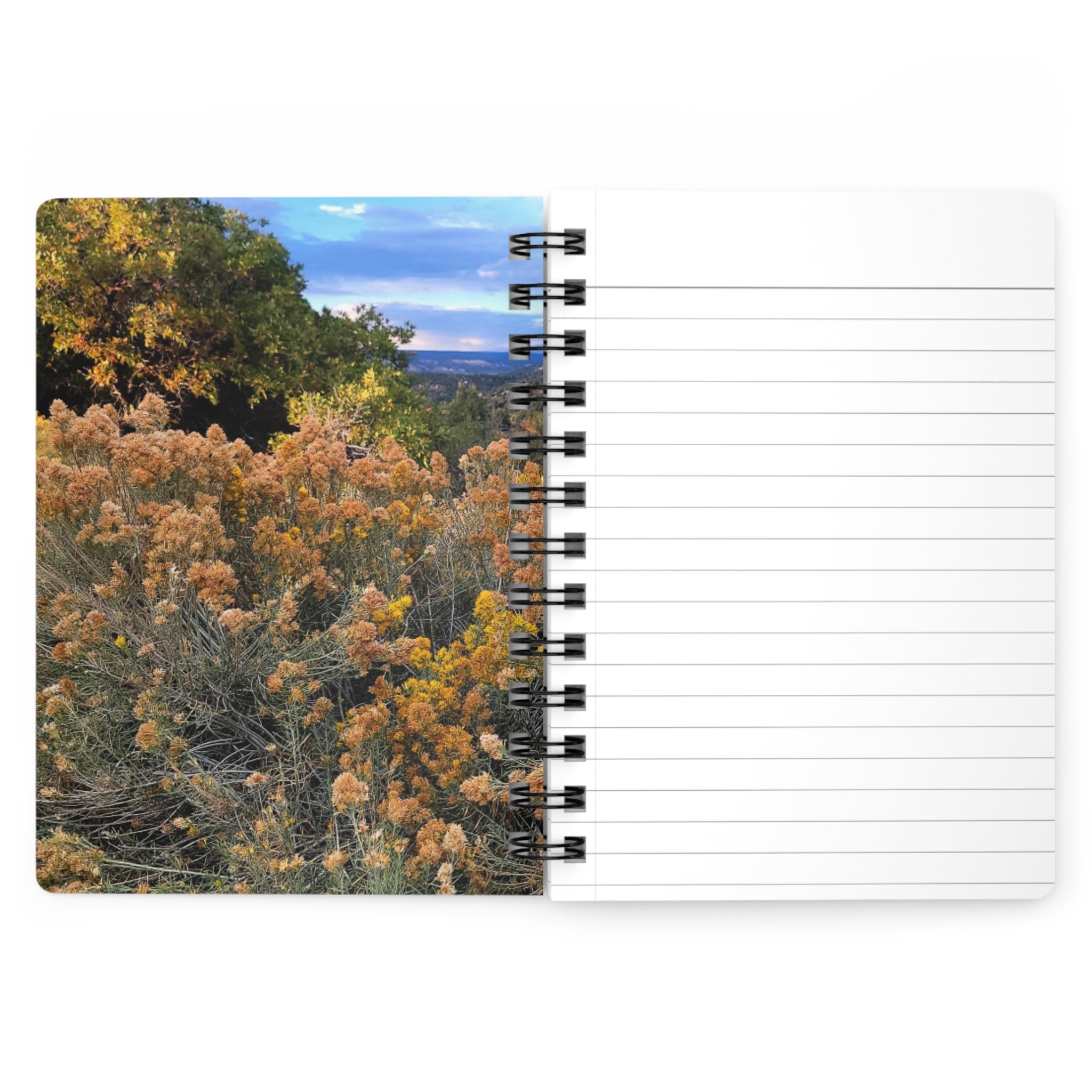 Spiral Notebook — Golden Sagebrush Landscape Journal (Nature Photography)