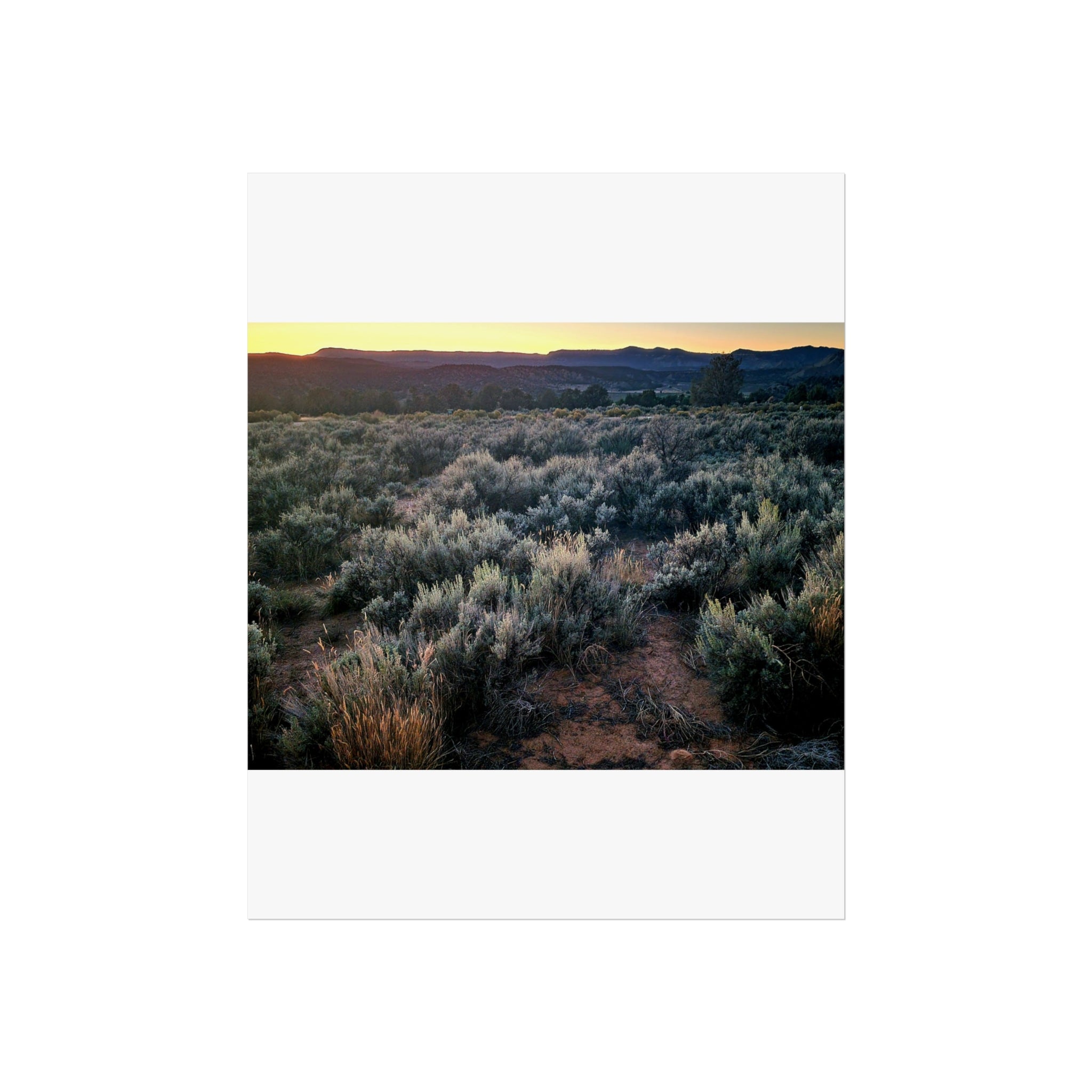 Sagebrush Sunset Fine Art Poster