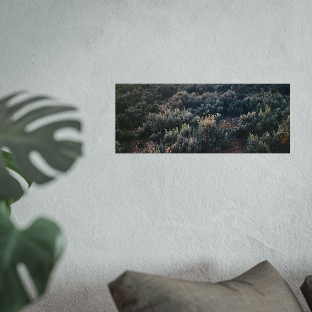 Sagebrush Sunset Fine Art Poster