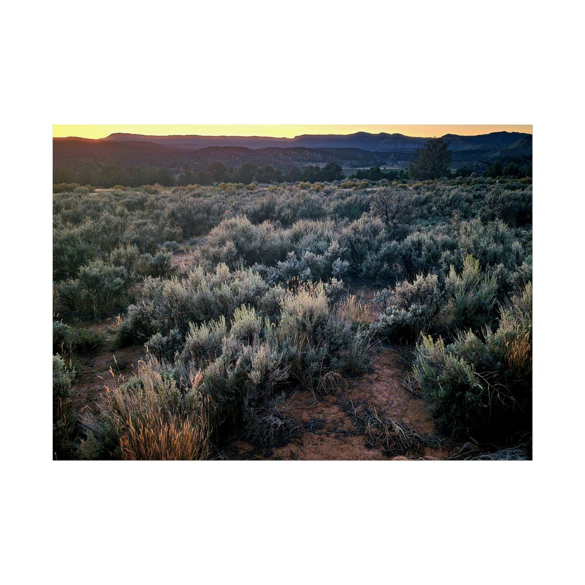 Sagebrush Sunset Fine Art Poster