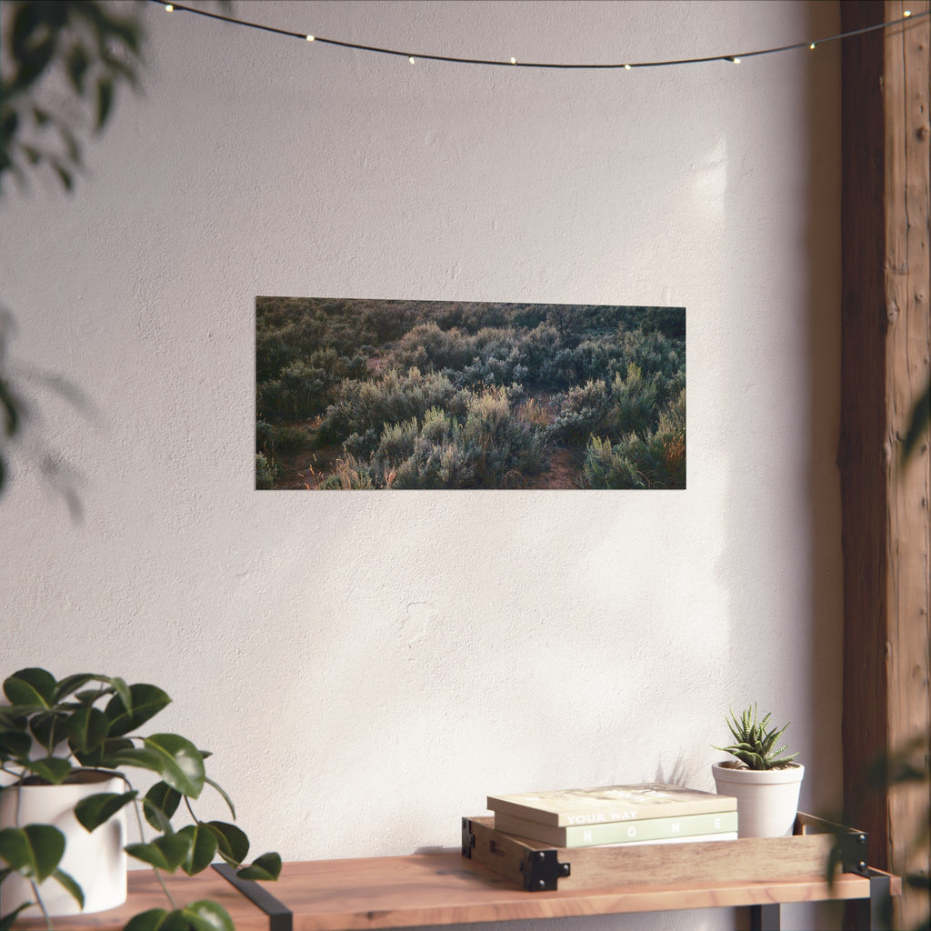 Sagebrush Sunset Fine Art Poster