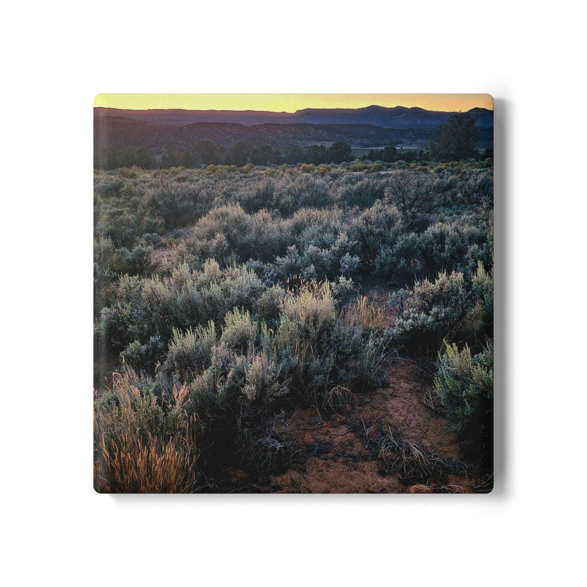 Desert Sage Ceramic Coaster — Southwestern Sunset Landscape Drink Coaster